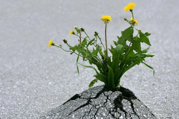 Seelische Blockaden durchbrechen